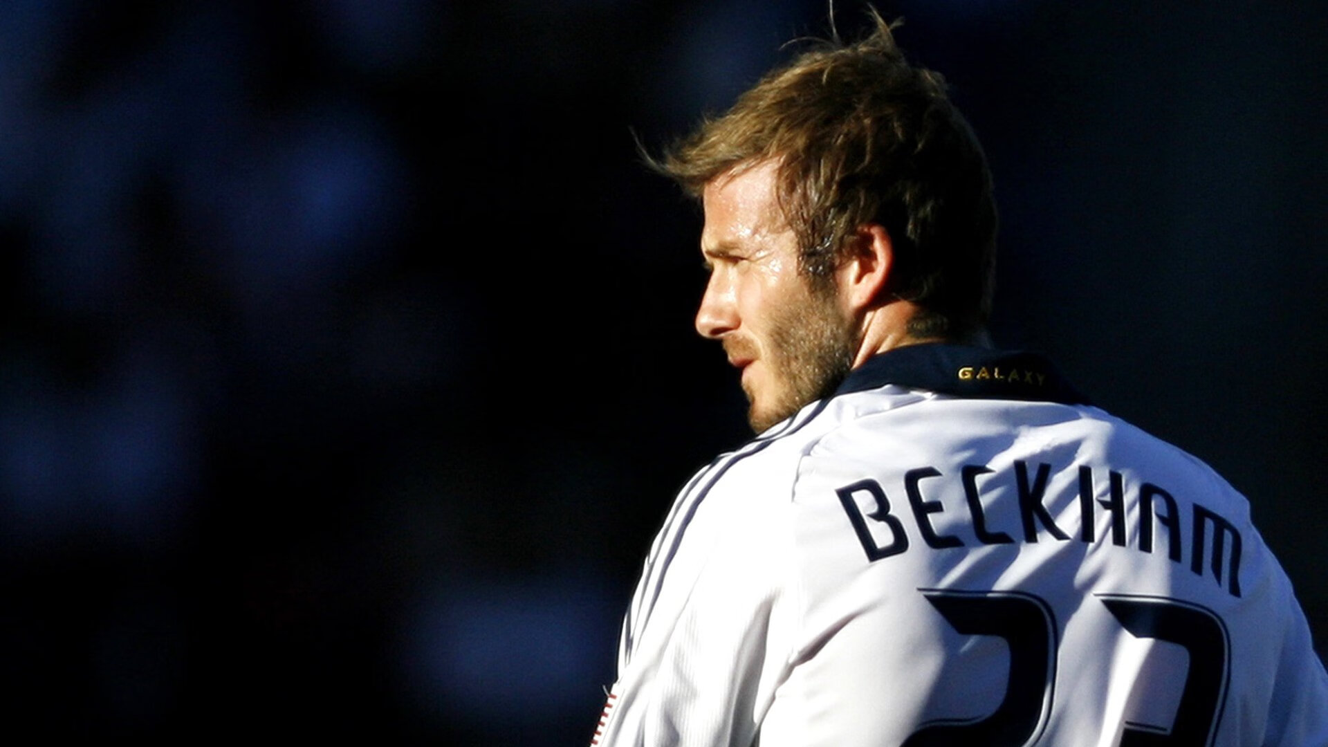 爵士队新援带来新希望，强势崛起，爵士队专区